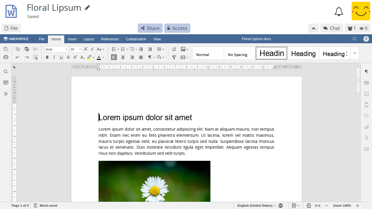 ../../_images/app-document-preview.png