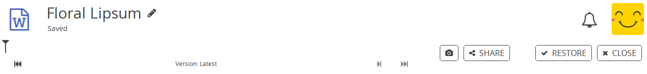 ../../_images/history-toolbar-document.png